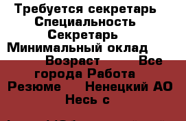 Требуется секретарь › Специальность ­ Секретарь  › Минимальный оклад ­ 38 500 › Возраст ­ 20 - Все города Работа » Резюме   . Ненецкий АО,Несь с.